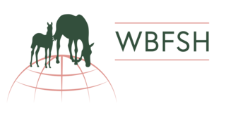 WBFSH-logo-hor-pink