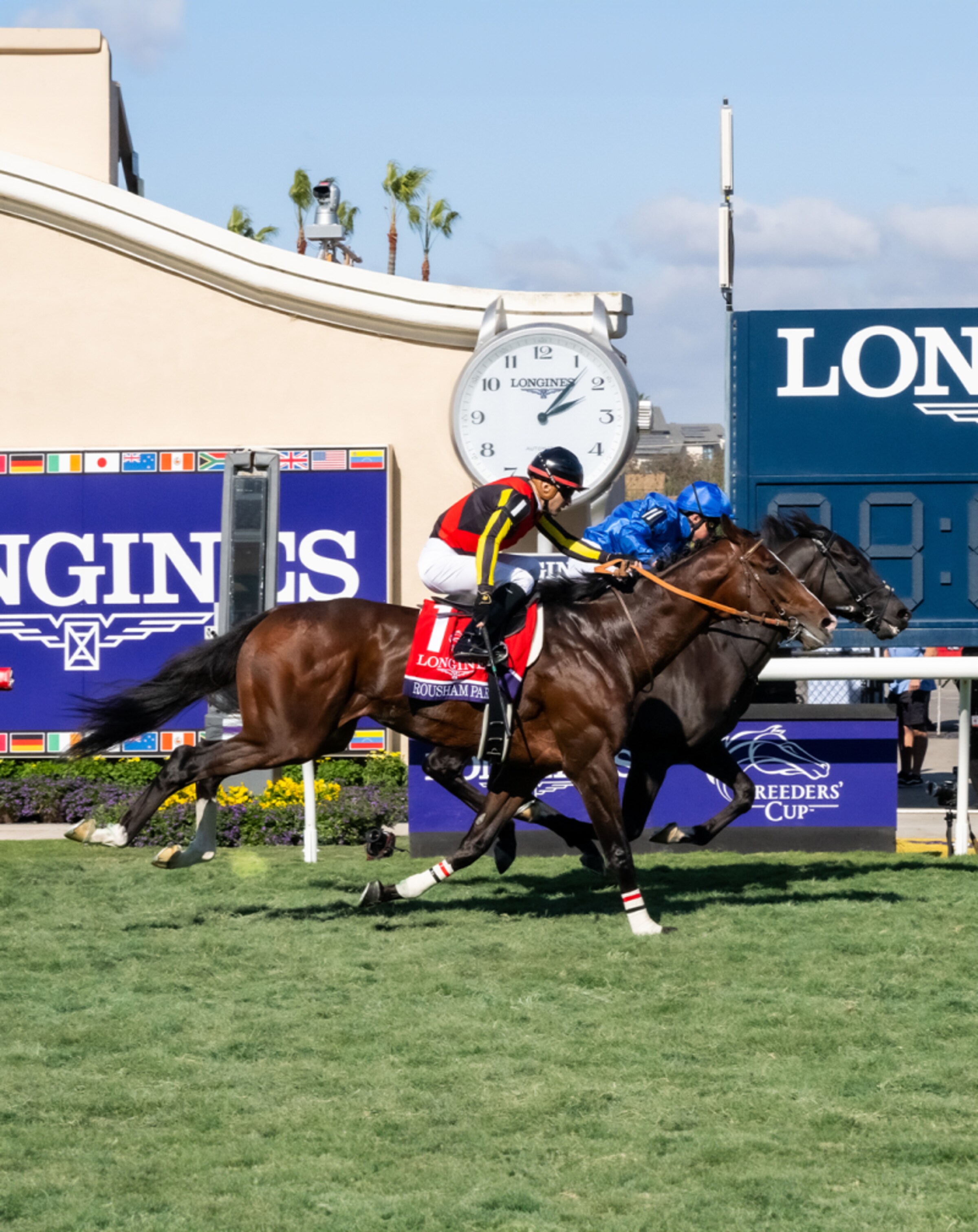 Victoire Longines Breeders' Cup 2024 Portrait_